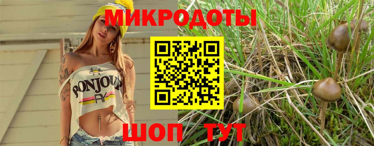 Псилоцибиновые грибы мицелий  Вход с VPN  Галлюциногенные грибы прущие грибы  Улан-Удэ 