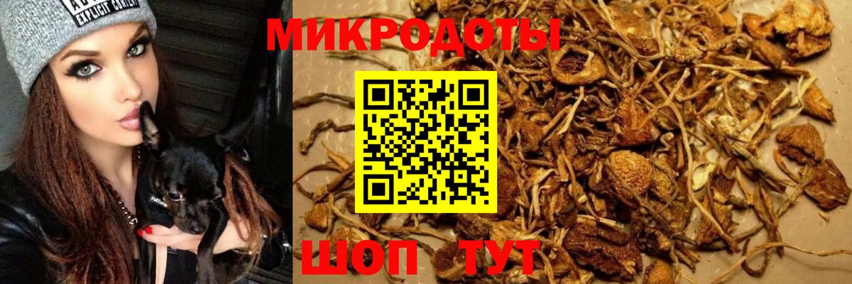 Галлюциногенные грибы мухоморы Улан-Удэ